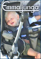 EMMALJUNGA - прогулочные коляски, коляски для новорожденных, коляски для двойни, люльки... Шведское качество